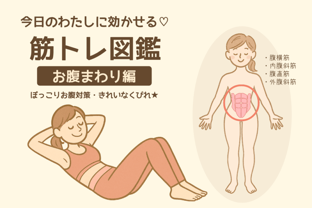 お腹まわりの筋肉を意識している女性の美しいシルエット。パステルカラーのグラデーション背景に、"今日のわたしに効かせる♡筋トレ図鑑 お腹まわり編"の文字が入った、清潔感のあるデザイン。筋肉の図解イラストも小さく配置。
