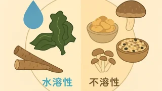 “腸に効く”食物繊維の話