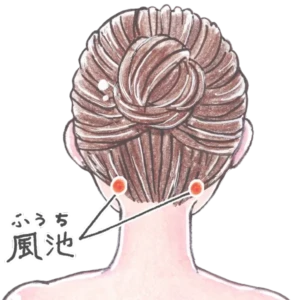 女性のイラストに風池(ふうち)を示したもの