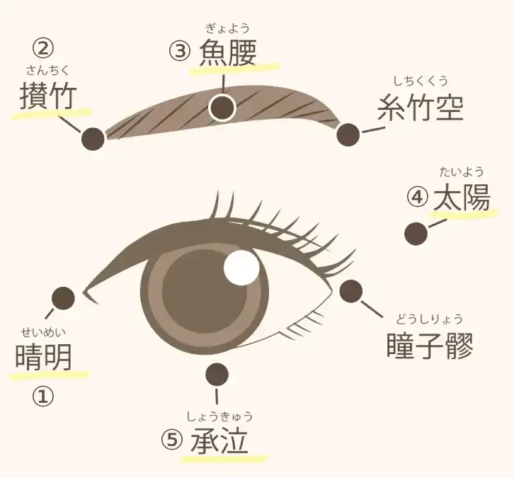 目の周辺のツボ